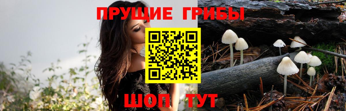 Прокопьевск  Галлюциногенные грибы мухоморы  Вход с VPN 